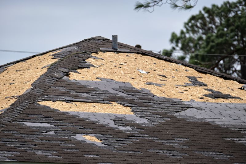 Damaged Rubber Roofing